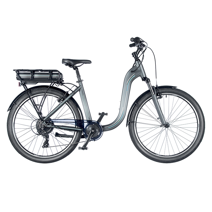 Электровелосипед FGS-4